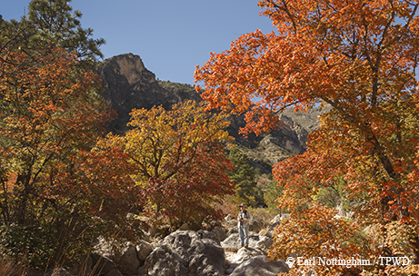 autumn